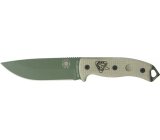 ESEE Model 5 - Survival,